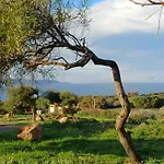 Vakantiehuis Sunset House Sardinia *