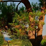Vakantiehuis Sunset House Sardinia