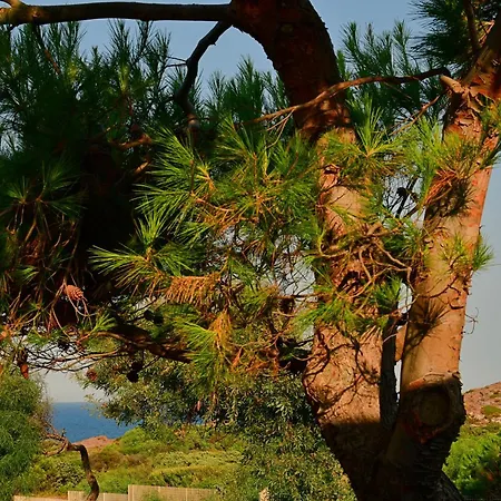 펜션 Sunset House Sardinia