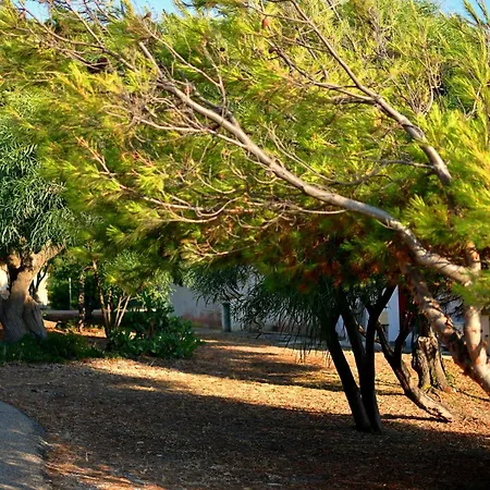 Sunset House Sardinia 포르토스쿠소